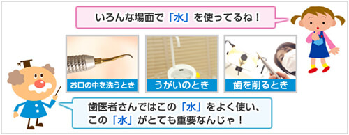 エピオスエコシステム紹介